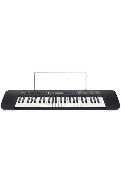 Casio Ctk-240 49 Tuşlu Org (ADAPTÖR HEDİYELİ)