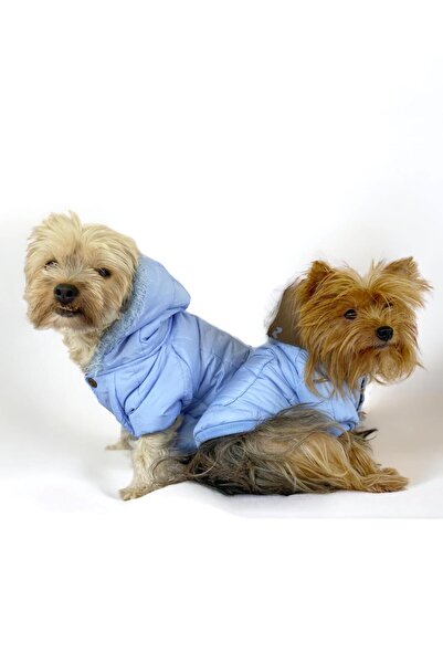 Kemique Baby Blue Comfy Köpek Montu, Köpek Ceketi, Köpek Dış Giyim