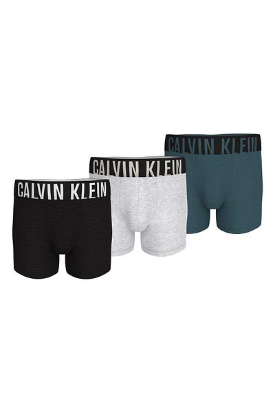 Calvin Klein Calvin KleinMen Solid Briefs