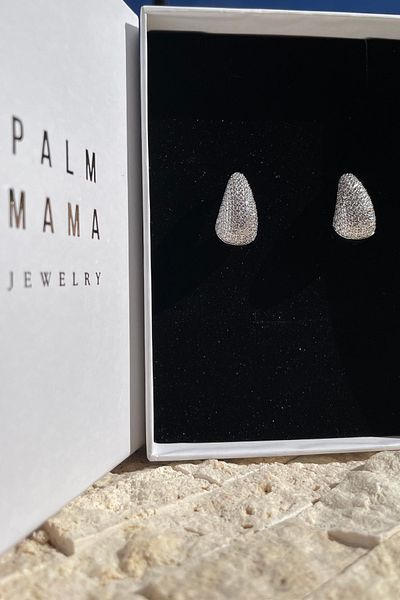 PALMMAMA Night Elegance Silver Zircon Stone Drop Steel Earrings