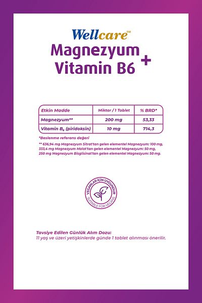 Wellcare Magnesium + Vitamin B6 - 30 Tablets