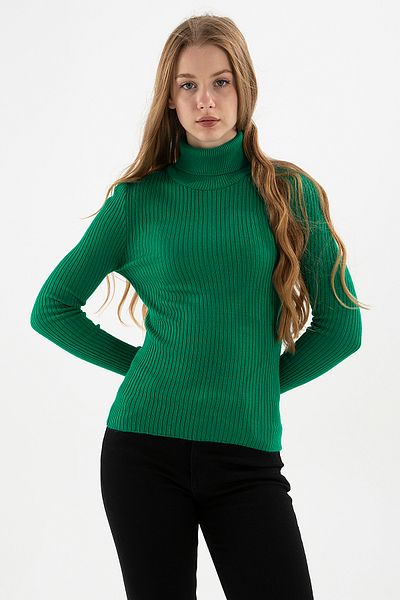Fashion Friends Slim Fit Turtleneck Ribbed Knitwear Sweater Pullover 24K0288K1