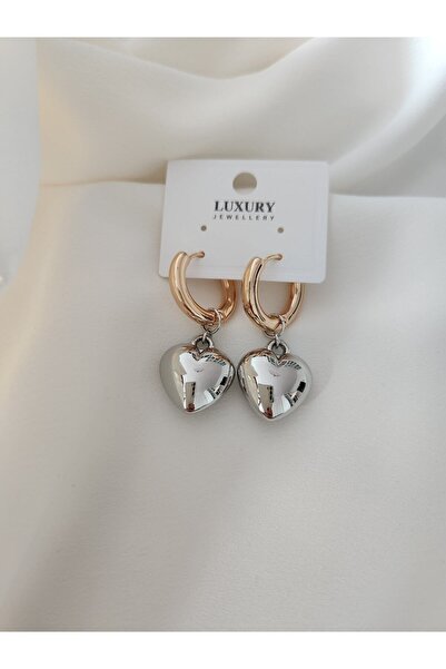 HERCY Gümüş ve Rosegold Renkli Kalpli Ithal Vip Küpe