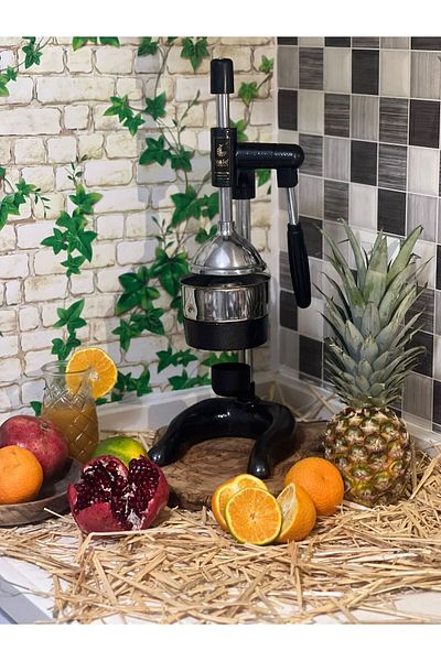 Kale Termos 1802 Professional Industrial Juicer