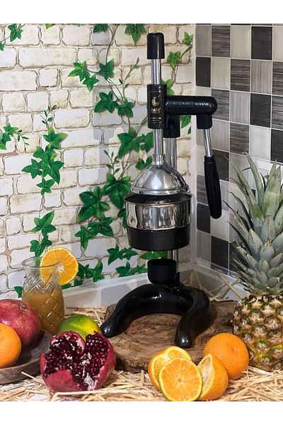 Kale Termos 1802 Professional Industrial Juicer