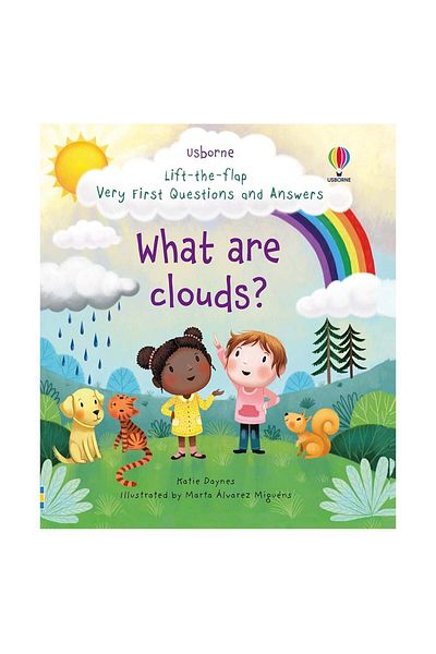 Usborne Lift the Flap - First Questions and Answers Wha