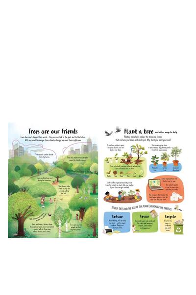 Usborne Lift The Flap Trees