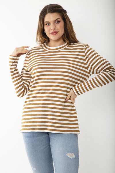 Şans Women's Large Size Brown Long Sleeve Striped Blouse 65N37217