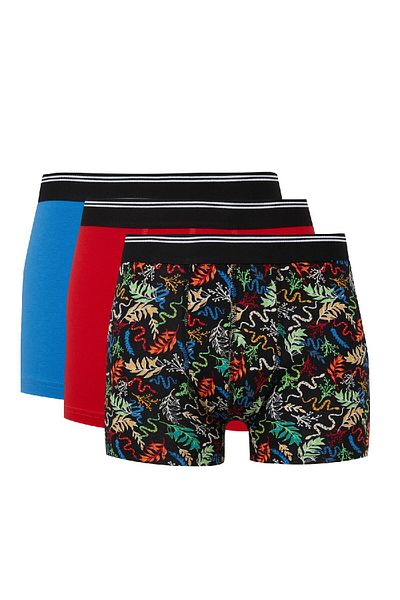 DeFacto Animal Printed 3 Piece Boxer Set - E0035ax24wn