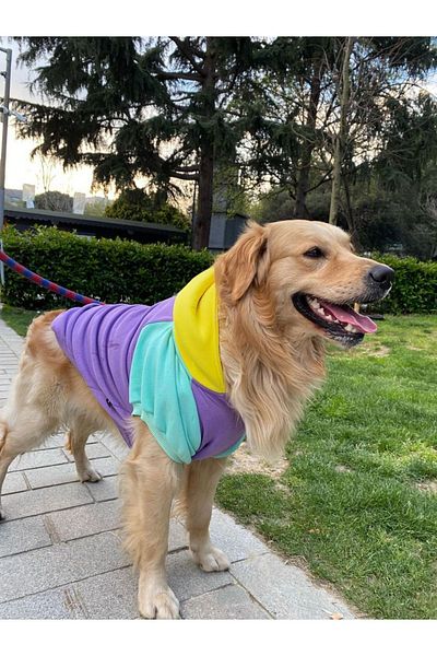 salya store Big Breed Dog Apparel, Positive Medium and Big Breed Dog Apparel, 15-30kg