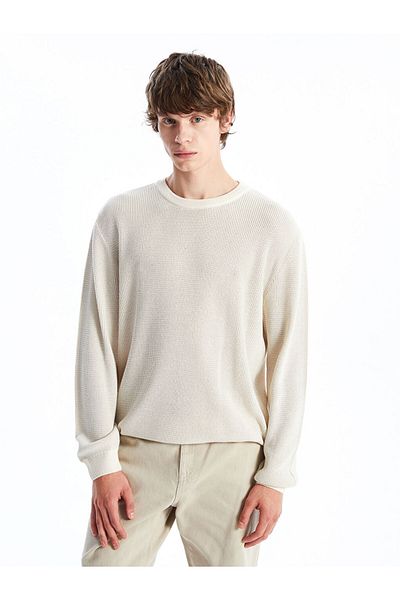 LC Waikiki Crew Neck Long Sleeve Men's Knitwear Sweater
