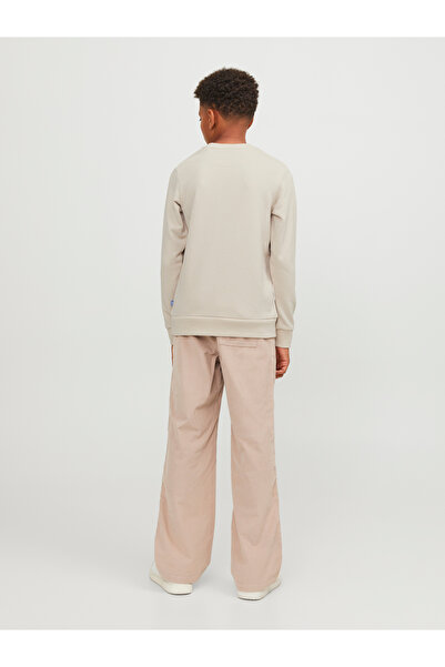 Jack & Jones Jjebradley Sweat Crew Noos Jnr 12250530   Moonbeam