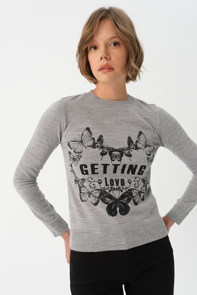 PARKhande Butterfly Printed Knitwear Sweater - Gray