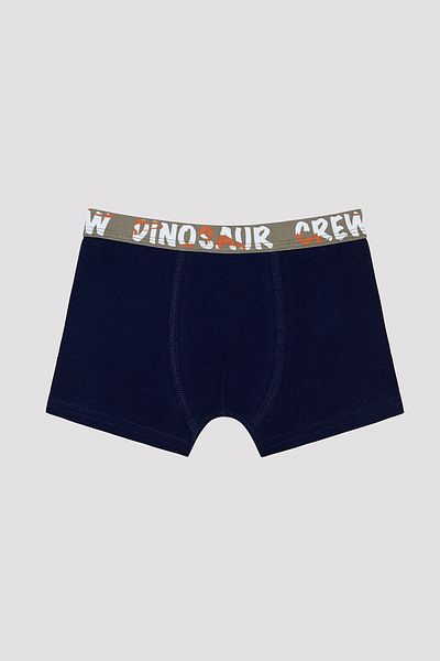 Penti Boy's Dinosur Crew Slogan Printed Boxers