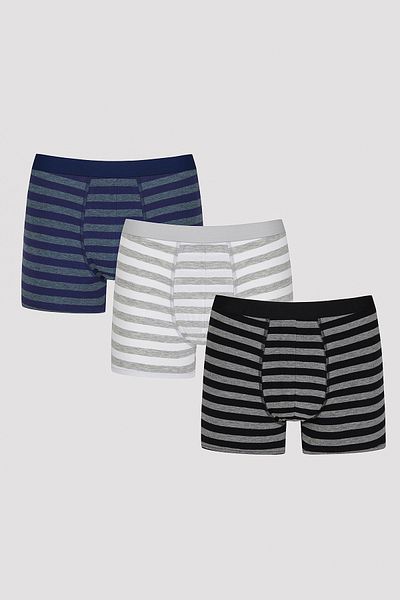 Penti Men's Thick Stipe Striped 3-Piece Boxers