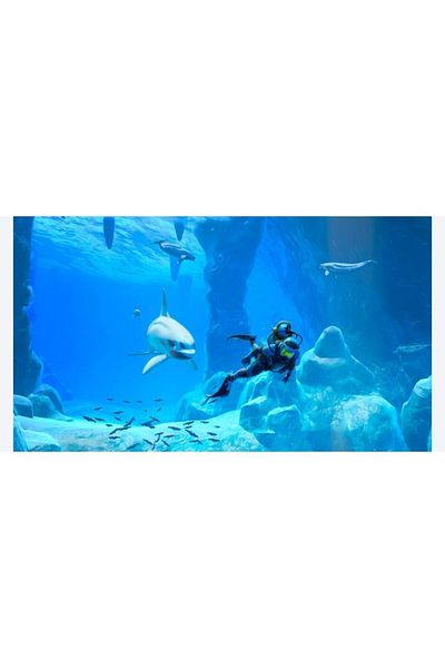 Nintendo Endless Ocean Luminous Switch