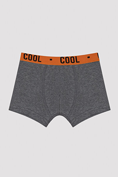 Penti Erkek Çocuk Cool Spor 2li Boxer
