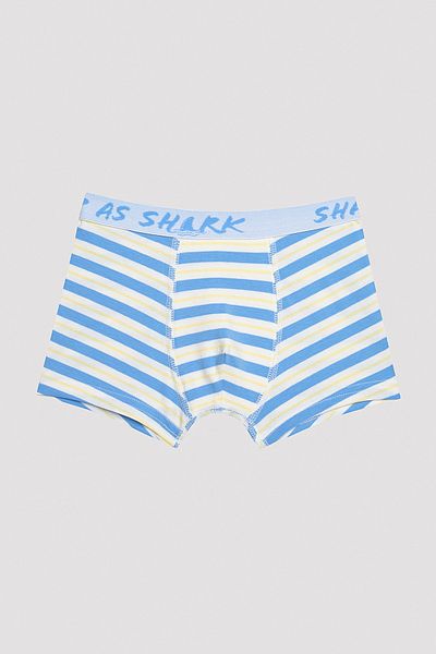 Penti Boy's Shark Dark Blue 2-Piece Boxers