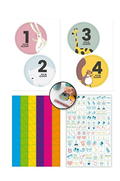 Le Color Bebek Zeka Kartları & Aylık Çekim Kartları Ve Sticker Seti