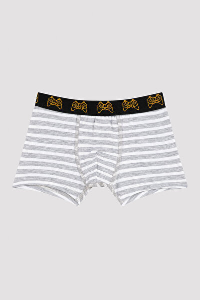 Penti Çok Renkli Erkek Çocuk Oyun Konsolu Desenli 2'li Boxer