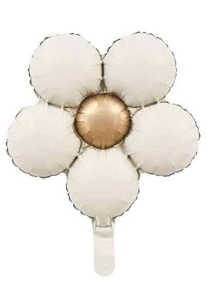 Genel Markalar RETRO RENK PAPATYA FOLYO BALON