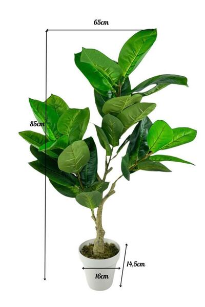 Nettenevime Τεχνητό λουλούδι Rubber Tree 85cm Σαλόνι Λουλούδι Λευκό Τεχνητό Φυτό σε γλάστρα
