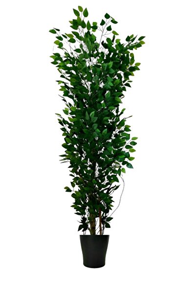 ERHAN FLOWERS BENJAMİN 200 CM PLASTİK SAKSI