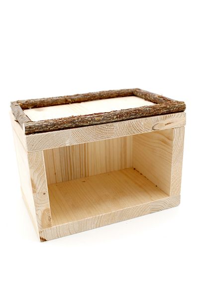 Alyones Bird Nest - Armchair Board and Shelter in One Offers Comfort with Natural Wood Structure