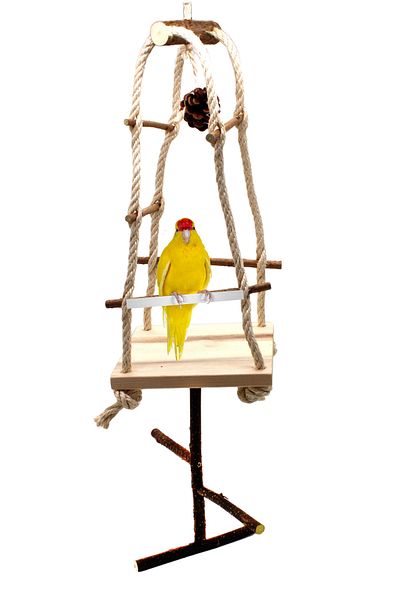 Alyones Bird Garden Cliff Hanger - Detachable Climbing Frame at the Bottom, a Fun Space for Your Birds