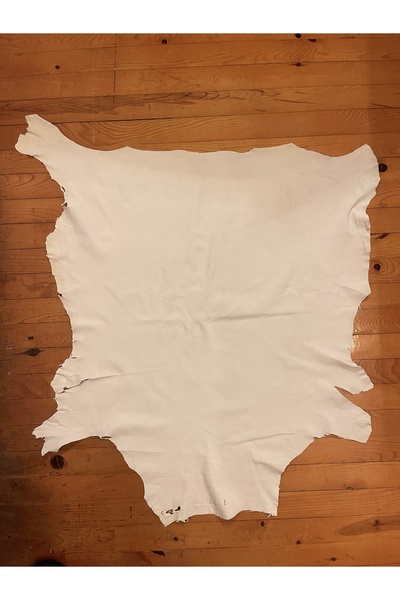 EGELİ DERİ Bütün, Tüysüz Ceylan Derisi