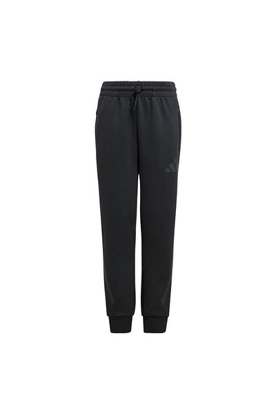 adidas J Z.n.e. Pantaloni de trening pentru copii Pt Jf2491