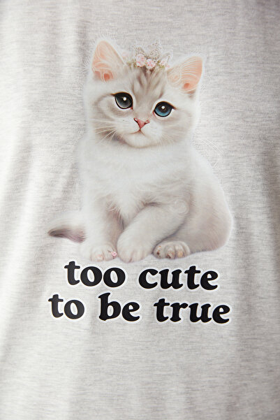 Penti Cute Gri Pantolon Pijama Takımı