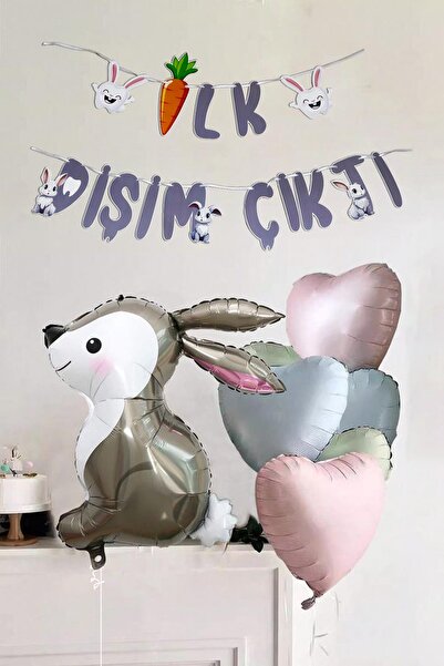 PEKSHOP İlk Dişim Çıktı Tavşan ve Kalp Balonlu Süsleme Seti Diş Buğdayı Süsleri Bannerlı Paket