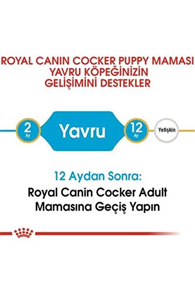 Royal Canin Cocker Junior Yavru Köpek Maması 3 Kg