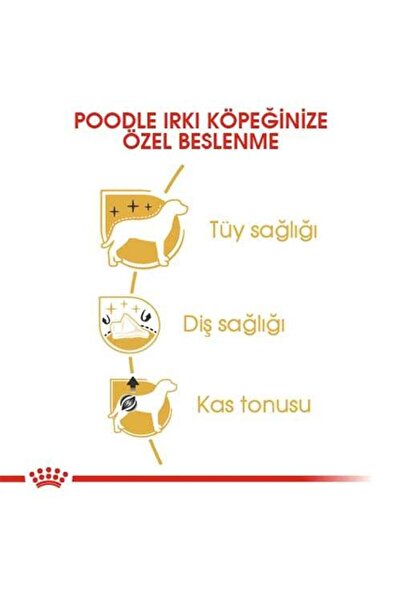 Royal Canin Poodle Adult Yetişkin Köpek Maması 3 Kg
