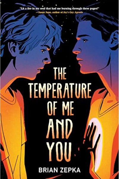 Disney Press The Temperature Of Me And You