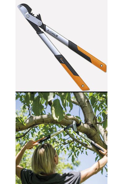 Magnotto Branch Cutting Shears Bypass Pruning Ligature Shears Garden Tree Branch Trimming Shears