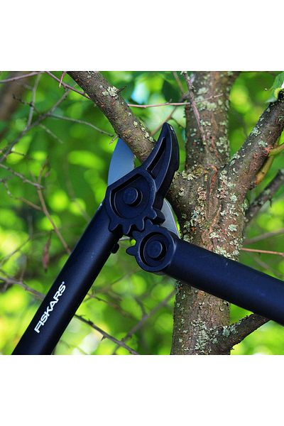 Magnotto Garden Dry Branch Scissors - Age Branch Pruning and Shaping Hand Tools