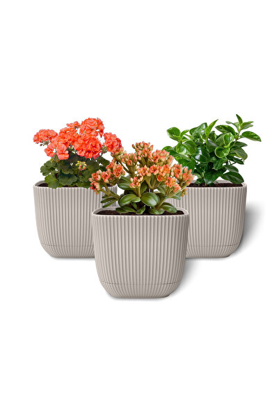 ToXA 3 Adet 1.8 Litre Bej Mercan Kare Saksı Kaktüs Sukulent Saksısı Tabaklı Plastik Saksı