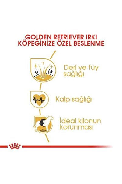Royal Canin Adult Golden Retriever Özel Köpek Maması 12 Kg