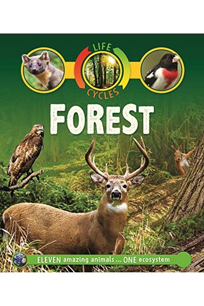 Pan Macmillan Life Cycles: Forest