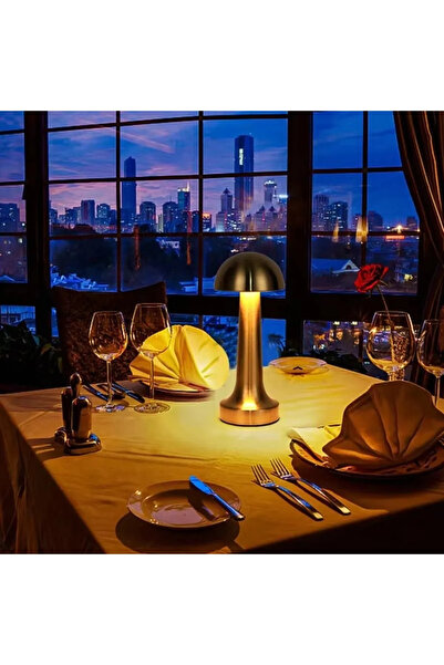 AmberLED Şarj Edilebilir Taşınabilir Masa Lambası - Dokunmatik Aç/Kapa ve Parlaklık Ayarı, 3 Renk Seçeneği