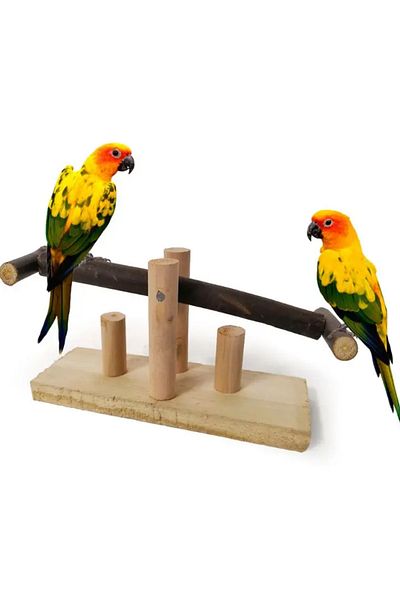 Alyones Parrot, Bird Bite Toy Swinging Board - Wooden Swing Stand