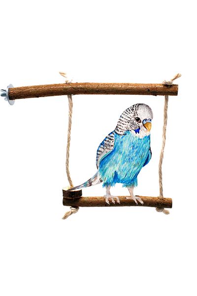 Alyones Perch Bird Swing - Natural Wood Sectional 2-Piece Perches, Design in 1