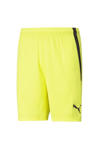 Puma Pantaloni scurți TeamLiga 704924 -42