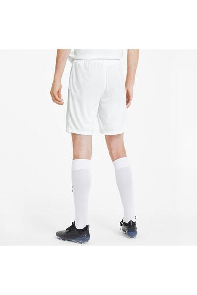 Puma TeamGoal23 Futbol Şort 704262-04