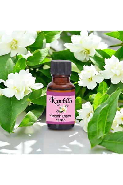 Dünya Magnet Yasemin Mum Esansı, Kokusu, Aromatik Soya Wax Esans, Buğurdanlık...