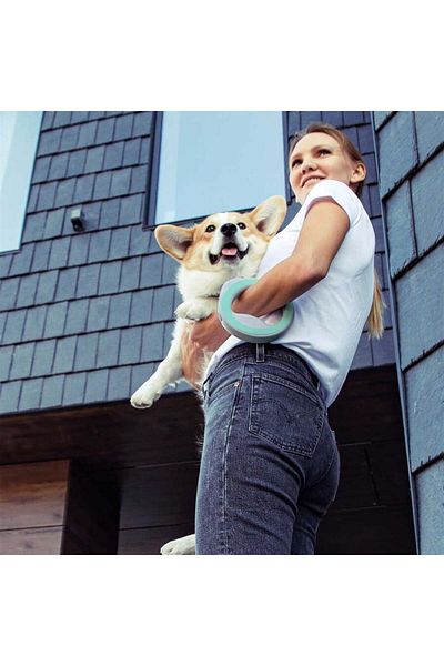WAUDOG COLLAR طوق كلب أوتوماتيكي للمشي على الكاحل من Waudog باللون الأخضر الليموني