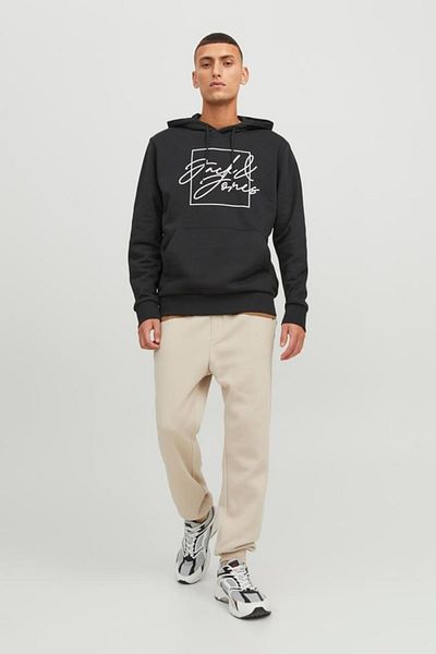 Jack & Jones JPSTGORDON BRADLEY - NOOS STONE Φούτερ 12249274