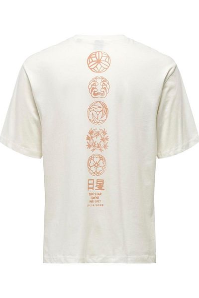 Only & Sons Onsmalık Life Rlx Ss Tee 22029484   - P.White